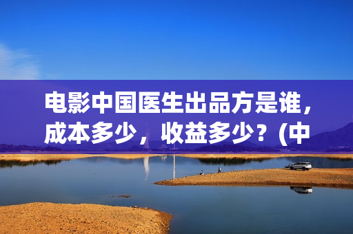 电影中国医生出品方是谁，成本多少，收益多少？(中国医生什么电影)