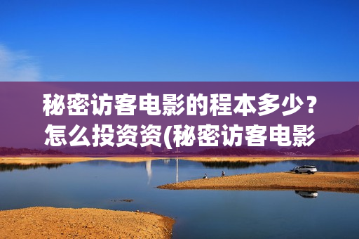 秘密访客电影的程本多少？怎么投资资(秘密访客电影演的什么意思)
