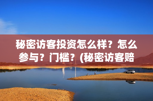 秘密访客投资怎么样？怎么参与？门槛？(秘密访客赔钱了吗)