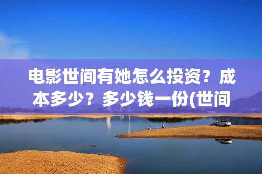电影世间有她怎么投资？成本多少？多少钱一份(世间有她电影现在什么情况)