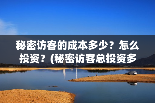 秘密访客的成本多少？怎么投资？(秘密访客总投资多少)