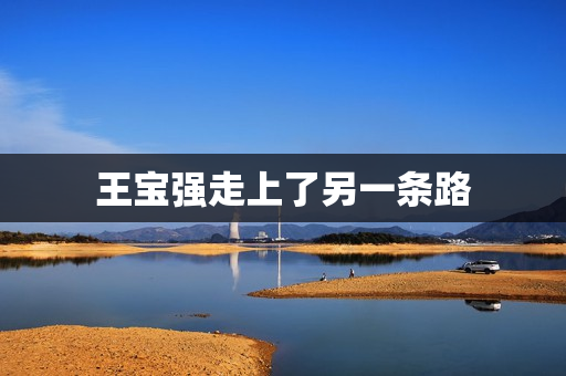 王宝强走上了另一条路