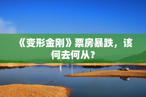 《变形金刚》票房暴跌，该何去何从？