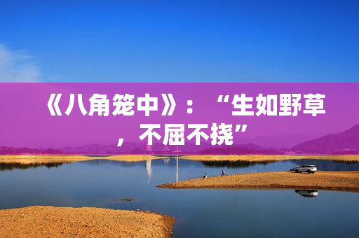《八角笼中》：“生如野草，不屈不挠”
