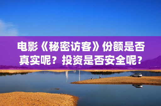 电影《秘密访客》份额是否真实呢？投资是否安全呢？(秘密访客完整剧情)