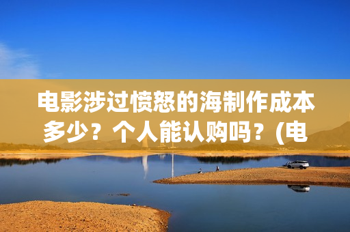 电影涉过愤怒的海制作成本多少？个人能认购吗？(电影涉过愤怒的海定档)