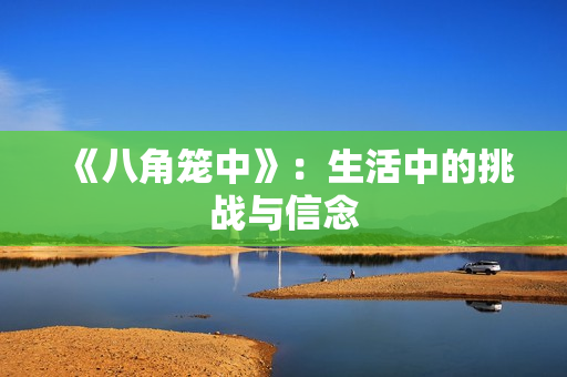 《八角笼中》：生活中的挑战与信念