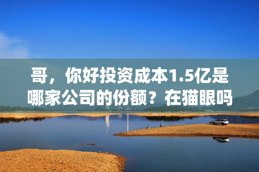 哥，你好投资成本1.5亿是哪家公司的份额？在猫眼吗？预测票房多少？(鹩哥你好mp3)