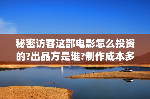 秘密访客这部电影怎么投资的?出品方是谁?制作成本多少?(秘密访客电影深度解析)
