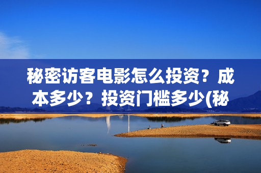 秘密访客电影怎么投资？成本多少？投资门槛多少(秘密访客电影怎么看不了)