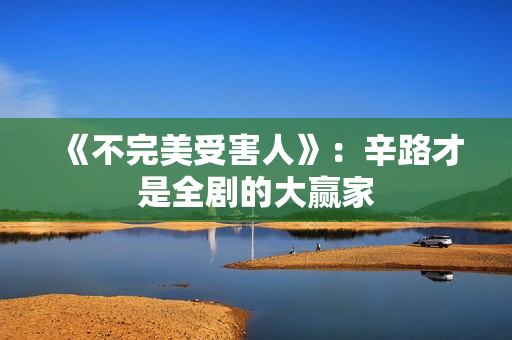 《不完美受害人》：辛路才是全剧的大赢家