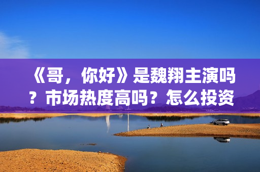 《哥，你好》是魏翔主演吗？市场热度高吗？怎么投资认购？分账快吗？(鹩哥你好mp3)
