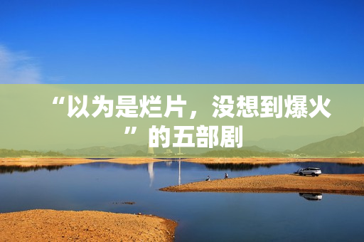 “以为是烂片，没想到爆火”的五部剧