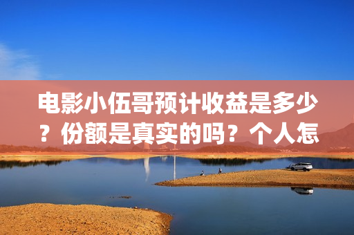 电影小伍哥预计收益是多少？份额是真实的吗？个人怎么投资？(小伍哥电影百度百科)