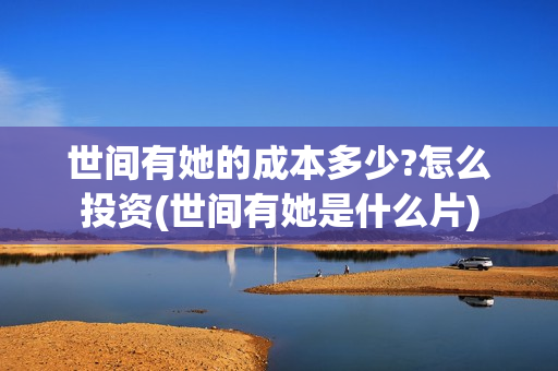 世间有她的成本多少?怎么投资(世间有她是什么片)