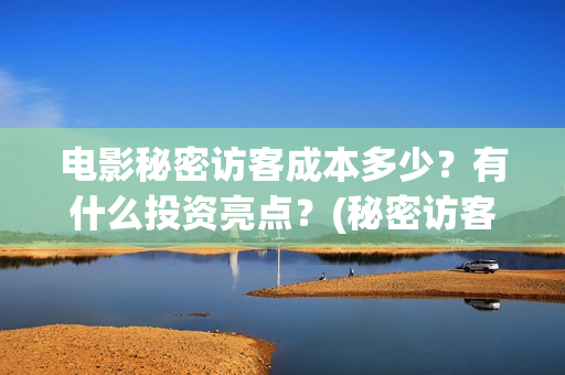 电影秘密访客成本多少？有什么投资亮点？(秘密访客电影啥意思)