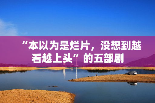 “本以为是烂片，没想到越看越上头”的五部剧