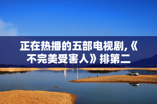 正在热播的五部电视剧,《不完美受害人》排第二