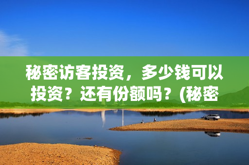 秘密访客投资，多少钱可以投资？还有份额吗？(秘密访客投资方有哪些)