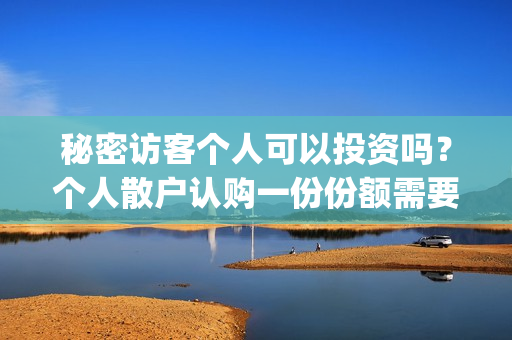 秘密访客个人可以投资吗？个人散户认购一份份额需要多少钱？(秘密访客访客是谁)