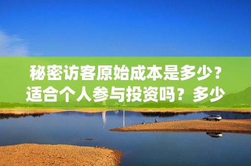 秘密访客原始成本是多少？适合个人参与投资吗？多少钱一份？(秘密访客原型是哪本书)