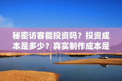 秘密访客能投资吗？投资成本是多少？真实制作成本是多少？(秘密访客能投资什么)