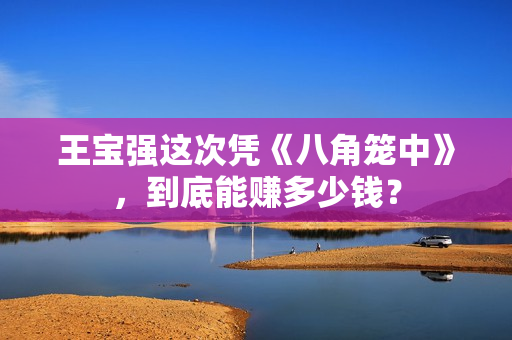王宝强这次凭《八角笼中》，到底能赚多少钱？
