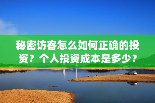 秘密访客怎么如何正确的投资？个人投资成本是多少？(秘密访客怎么看)