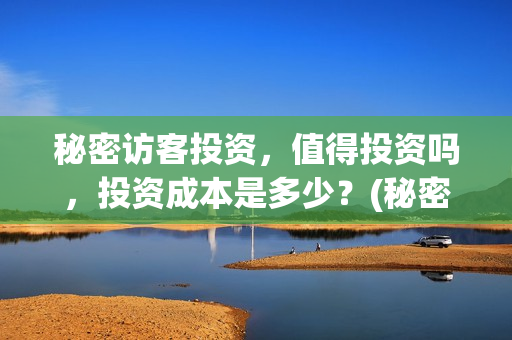 秘密访客投资，值得投资吗，投资成本是多少？(秘密访客赔钱了吗)