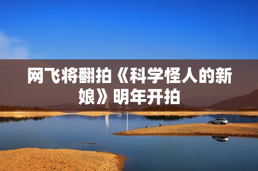 网飞将翻拍《科学怪人的新娘》明年开拍