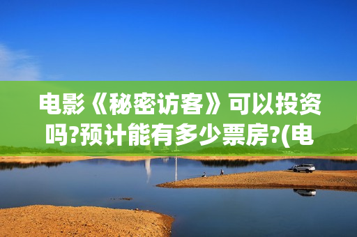 电影《秘密访客》可以投资吗?预计能有多少票房?(电影《秘密访客》简介)