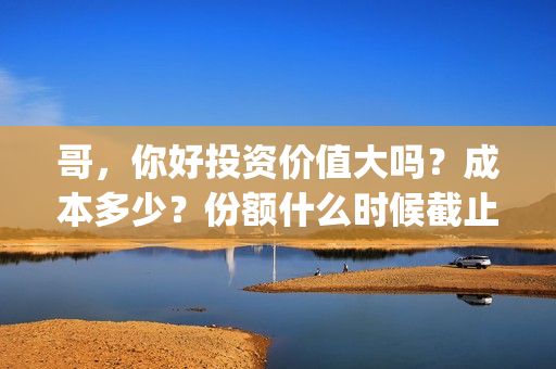 哥，你好投资价值大吗？成本多少？份额什么时候截止？(歌曲哥哥你好)