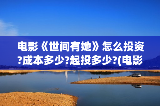 电影《世间有她》怎么投资?成本多少?起投多少?(电影世间有她剧情介绍)