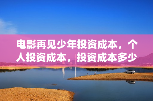 电影再见少年投资成本，个人投资成本，投资成本多少？(再见少年电影预告)