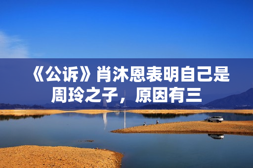 《公诉》肖沐恩表明自己是周玲之子，原因有三