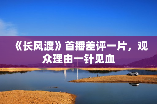 《长风渡》首播差评一片，观众理由一针见血