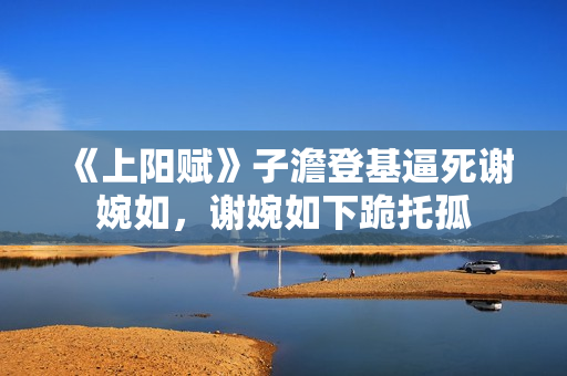 《上阳赋》子澹登基逼死谢婉如，谢婉如下跪托孤