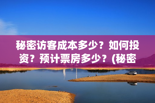 秘密访客成本多少？如何投资？预计票房多少？(秘密访客总投资多少)