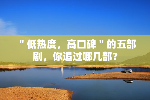 ＂低热度，高口碑＂的五部剧，你追过哪几部？