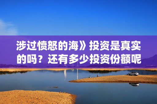 涉过愤怒的海》投资是真实的吗？还有多少投资份额呢？(涉过愤怒的海女孩经历了什么)