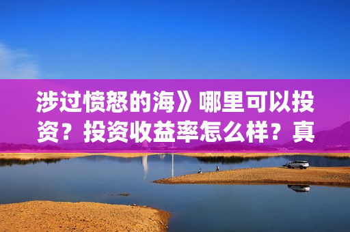 涉过愤怒的海》哪里可以投资？投资收益率怎么样？真实吗？(涉过愤怒的海周依然做出的牺牲)