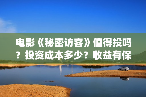 电影《秘密访客》值得投吗？投资成本多少？收益有保障吗？(电影《秘密访客》演员表)