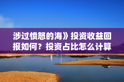 涉过愤怒的海》投资收益回报如何？投资占比怎么计算的呢？(涉过愤怒的海讲的是什么意思)