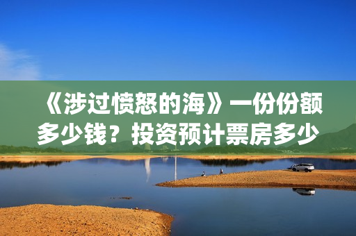 《涉过愤怒的海》一份份额多少钱？投资预计票房多少？(涉过愤怒的海在线播放免费观看全集电视剧爱奇艺)