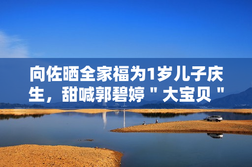 向佐晒全家福为1岁儿子庆生，甜喊郭碧婷＂大宝贝＂