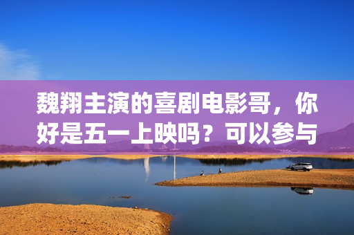 魏翔主演的喜剧电影哥，你好是五一上映吗？可以参与投资吗？怎么参与(魏翔主演的喜剧电视剧欢喜密探)