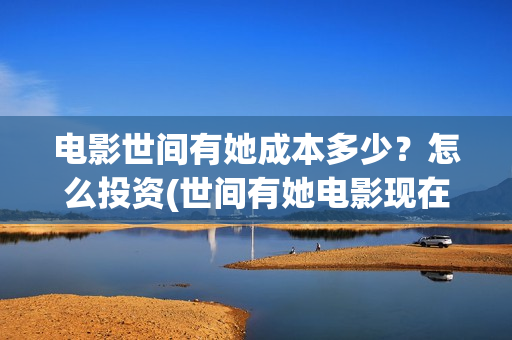 电影世间有她成本多少？怎么投资(世间有她电影现在什么情况)