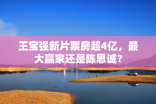 王宝强新片票房超4亿，最大赢家还是陈思诚？