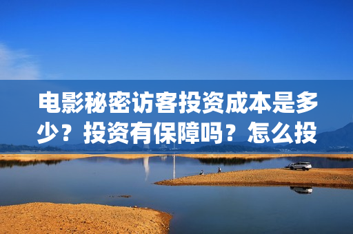 电影秘密访客投资成本是多少？投资有保障吗？怎么投资？(秘密访客电影价钱)