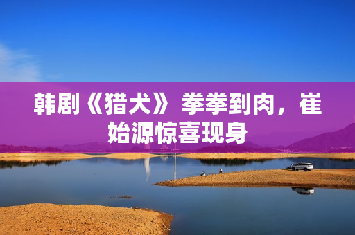 韩剧《猎犬》 拳拳到肉，崔始源惊喜现身